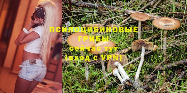 гашик Арсеньев