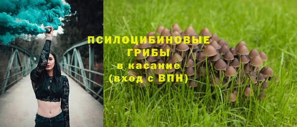 твердый Аркадак