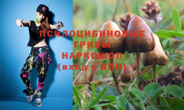 первитин Балахна