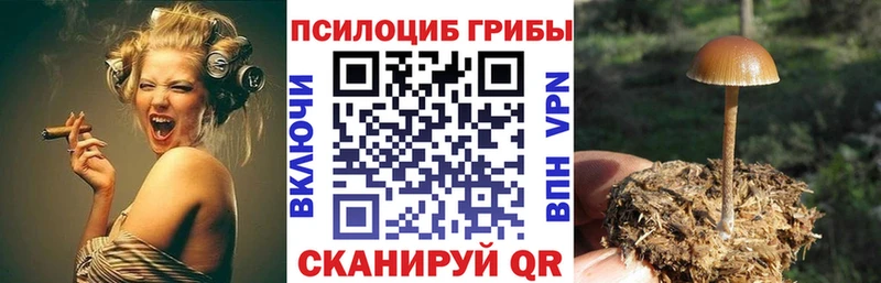 Галлюциногенные грибы Magic Shrooms  магазин продажи наркотиков  shop официальный сайт  Сосновка  кракен рабочий сайт 