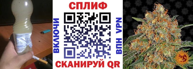 Бошки Шишки план  Сосновка 